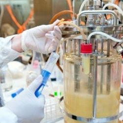 inicio fermentaciones liquida